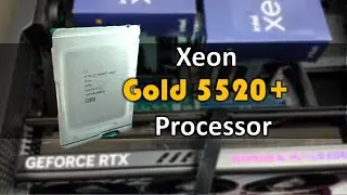 Intel  Xeon Gold 5520+ CPU Unboxing