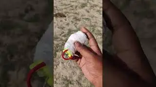 Parachute 