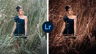 Dark Brown Colour Tone Effect Photo Editing Tutorial Video | Lightroom