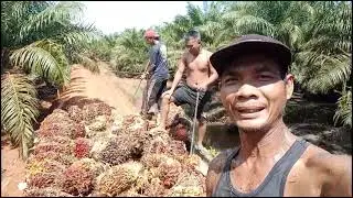 PANAS POLL..|| MUATKAN  DUM TRUK SENYUM SELALU,,,