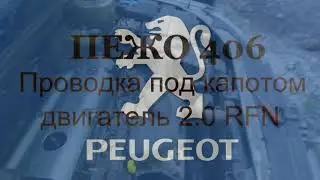 Пежо 406. 2003 г. RFN. Проводка под капотом. Ревизия.