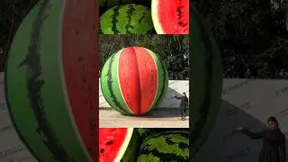 Лето - это сладкие АРБУЗЫ 🍉🍉🍉Огромный, спелый надувной шар в виде арбуза #shorts #арбуз #лето