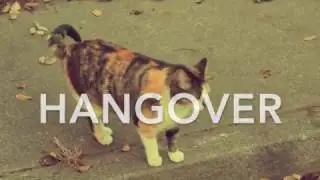 Hangover