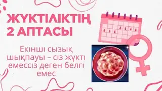 ЖҮКІТІЛІКТІҢ 2 аптасы/ ЖҮКТІЛІКТІҢ АЛҒАШҚЫ БЕЛГІЛЕРІ