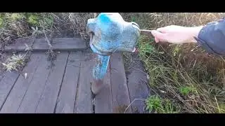 Белозерск и окрестности