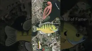 found the Freshwater Fishina Hall of Fame on google earth #shorts #map #earth #googleearth #yt