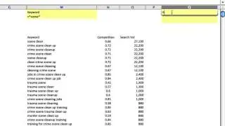 How to Use Advanced Filters In Excel