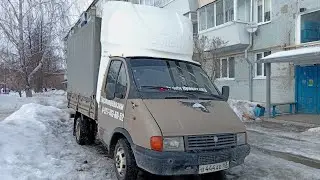 Я вернулся и газель в шоке (газель на блатных номерах)