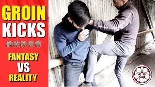 KICK to the BALLS!!!? Do Groin Kicks REALLY Work in Street Fights?