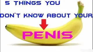 5 Things You Don’t Know About Your Penis
