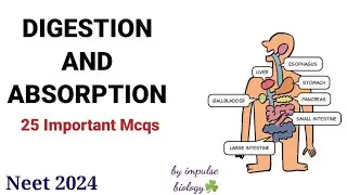 Digestion and Absorption mcqs for neet class 11|| digestive system mcqs