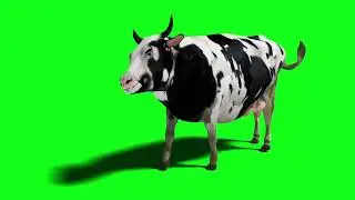Cow Walk Cycle Animation Green Screen#cow #walkthrough #cyclestunt #viral #greenscreen #video