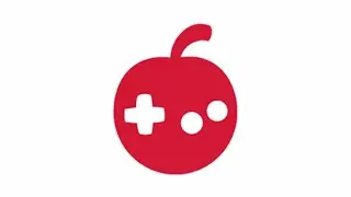 silksong news