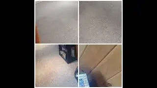 Watch Yoshi
