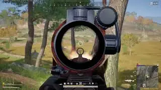21 for the duck