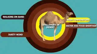Adaptation in Camel | How does camel survive in desert?