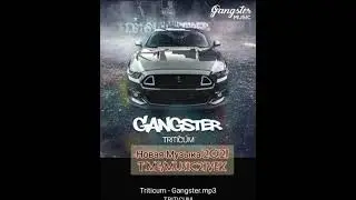 Triticum - Gangster (Новая Музыка 2021) крутой клубняк