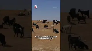 Post Circulating: Prophet Muhammad Was a Pedophile | Ade Armando