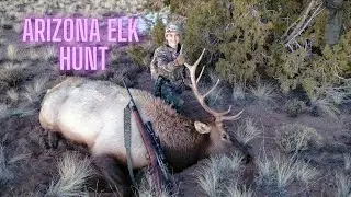 Arizona Elk Hunt