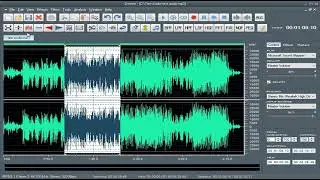 Learn How to Reverse Audio