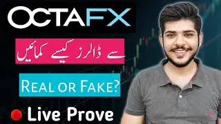 Forex OctaFX Ban In Pakistan? How to Earn Money Online from Forex Trading in Pakistan 2022