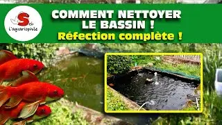Comment nettoyer un bassin à poisson ! Bassin de jardin