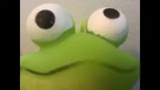 Unexpected Amphibian