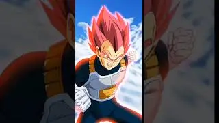 Paragus & Broly VS SSJ/SSG Vegeta But In Dokkan