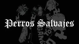 PERROS SALVAJES - daddy yankee | 𝔰𝔩𝔬𝔴𝔢𝔡 + 𝔯𝔢𝔳𝔢𝔯𝔟 [8D]
