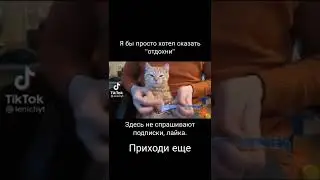 #лучшее #рекомендации #short