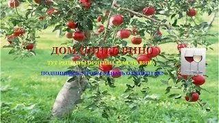 Как делать свое изысканное вино