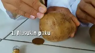 BATERAI DARI KENTANG | Praktikum Kimia Sederhana Larutan Elektrolit dan Nonelektrolit