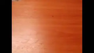 Слизь индюка