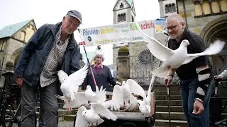 Tägliche Friedensboten über Werl – Diakon lässt Tauben fliegen