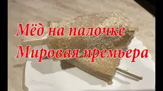 Мировая премьера - мёд на палочке