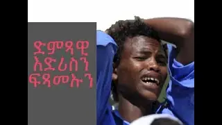 #Jstudio ድምጻዊ እድሪስ መሓመድ ዓሊን ዘሕዝን ፍጻሜኡን