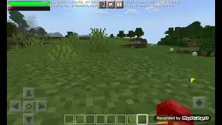 karakter kodu yeni