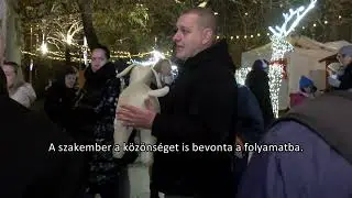 Újpesten debütált az állat-elsősegélynyújtó gyorstalpaló