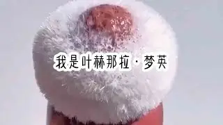 （魂穿叶赫)好看的穿越小说推荐，六旬老太守国门，紧跟时事呀。