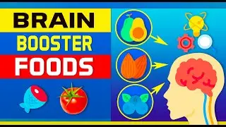 Top 10 Best Foods to Boost Brain Power, Memory and Focus
