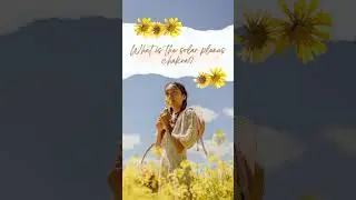 What is the Solar Plexus Chakra?