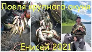 Рыбалка на Енисее 2021. Спиннинг с лодки на КВХ.