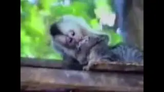 Лучшие приколы о животных