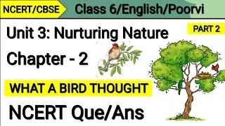 Question Answer What a Bird Thought | Class 6 English | Unit 3 Nurturing Nature | Poorvi