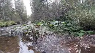 Рыболовный тур в Красноярский край