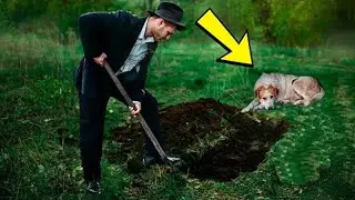 He dug a grave for his dog, but the dog's reaction is just heartbreaking!