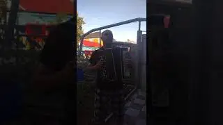Одинокая гармонь