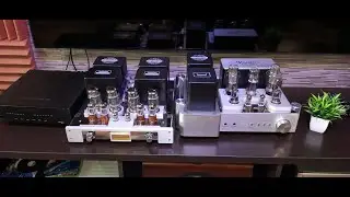 Peter Gabriel - So - Yaqin MS-300b, Yaqin MC-100b, Denon PMA-SA1