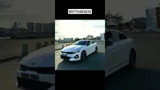 Катализатор! 😬 Kia K5.