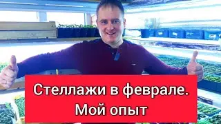 Стеллажи в феврале. Мой опыт